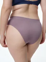 Bombacha tipo bikini de microfibra seamless, con diseño de corte clásico y cintura ancha. Confeccionada en tejido elástico que se adapta al cuerpo sin marcar.