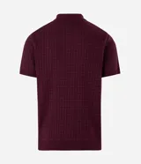 Polo de manga corta confeccionada en tejido de punto con textura de ochos, cuello clásico con cierre de botones y corte regular.