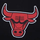 Canguro negro con capucha y cordones ajustables, con el logo de los Chicago Bulls estampado en el pecho y texto en la manga.