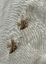 Vestido camisero blanco de lino con cuello clásico, cartera a la vista, mangas cortas acampanadas y bordados de motivos marinos.