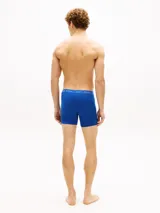 Pack de tres boxers brief Tommy Hilfiger confeccionados en algodón y elastano, con cintura elástica con logo de la marca. Incluye una unidad en azul marino, una en azul eléctrico y una en negro.