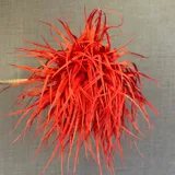 Broche de tela en forma de flor con gran volumen, compuesto por múltiples tiras finas de color rojo. Posee un diámetro aproximado de 10 cm.