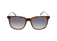 Lentes de sol INVU modelo IB22438B, con montura de acetato color carey y lentes polarizadas grises.