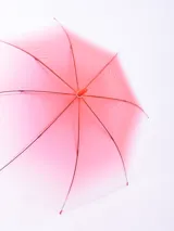 Paraguas transparente con estructura violeta.