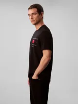 Remera de cuello redondo y manga corta, confeccionada en algodón regenerativo. Presenta un estampado gráfico en el pecho con el logo de la marca y la inscripción New York City.