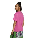 Remera de cuello redondo y manga corta en color fucsia. Presenta un estampado gráfico central con la colaboración entre Adidas y Farm Rio, incluyendo ilustraciones de tucanes, elementos botánicos y el número 3.