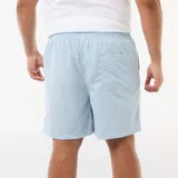 Short de baño con diseño de rayas finas en color celeste y blanco, con cintura elástica y cordón ajustable azul oscuro.