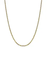 Collar de cadena de eslabones pequeños y uniformes, con acabado en tono dorado.