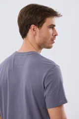 Remera de manga corta color gris, con cuello redondo y estampado frontal multicolor con diseño de remos y tipografía de la marca.