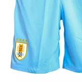 Short de fútbol Nike color celeste, con el escudo de la AUF en una pierna y el swoosh de Nike en la otra.