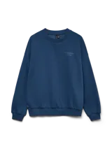 Buzo de felpa color azul oscuro, con cuello redondo, mangas largas y corte relajado. Presenta una pequeña estampa decorativa en el pecho.