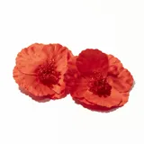 Par de caravanas con forma de flor color rojo con centro de cuentas rojas.