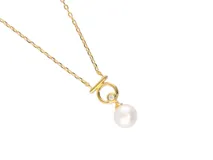 Collar de plata 925 con baño de oro, dije circular con circonia y perla colgante.