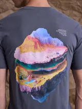 Remera gris de corte clásico con estampa artística en la espalda que representa capas geológicas coloridas y la palabra Biosphere.