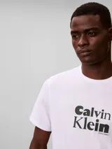 Remera de manga corta y cuello redondo, confeccionada en algodón. Presenta un estampado gráfico con el logotipo de la marca en el pecho con tipografía retro.