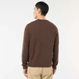 Sweater de punto color marrón, con cuello redondo y diseño liso. Presenta puños y ruedo acanalados.