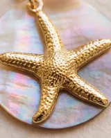 Collar de bronce con cadena fina dorada y un dije circular con base de nácar y una estrella de mar dorada en relieve.