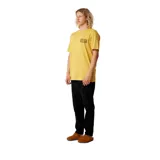 Remera de algodón mostaza con estampa pequeña en el pecho y estampa grande en la espalda con diseño inspirado en el surf, de corte regular y mangas cortas.