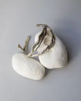 Brazalete rígido de bronce y alpaca maciza, con diseño orgánico irregular.