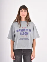 Remera de corte boxy y diseño holgado, color gris azulado con efecto lavado. Presenta una estampa frontal con texto y estrellas en tonos azul y rojo.