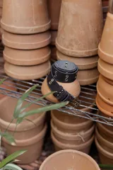Cinto de cuero con hebilla cuadrada metálica y doble hilera de ojales decorativos.