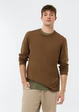 Remera marrón de manga larga, cuello redondo y diseño liso básico.