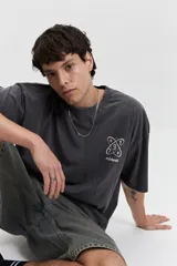 Remera gris oscuro con efecto gastado, corte boxy, manga corta y cuello redondo. Estampado en el frente con diseño abstracto y texto 'mistral'.