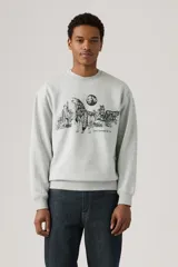 Buzo gris de corte relajado con cuello redondo y mangas largas. Estampado frontal con lobos, cactus y luna.