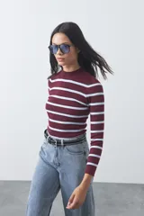 Polera de tejido rib al cuerpo con diseño de rayas horizontales en color bordó y celeste, cuello alto y manga larga.
