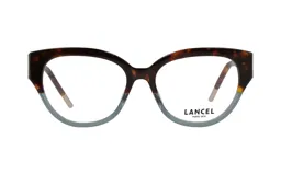 Anteojos de acetato con forma rectangular, con marco superior color carey y marco inferior color celeste.