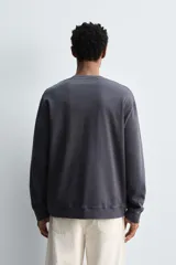 Sudadera de corte regular fit confeccionada en algodón con efecto lavado. Presenta cuello redondo, manga larga y terminaciones en rib.