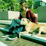 Zapatillas de skate Emerica Dickson, color negro con detalles en blanco y suela blanca.