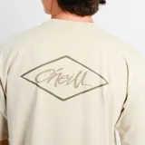 Remera O'Neill Diamond de manga corta, color beige con efecto acid wash, cuello redondo y pequeño estampado gráfico frontal con un rombo y la inscripción de la marca.