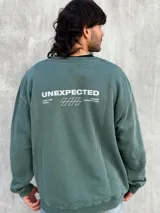 Buzo verde de algodón con cuello redondo, mangas largas y puños acanalados. Presenta un pequeño estampado en el frente y un logo geométrico en el pecho. Corte holgado.