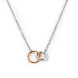 Collar de acero plateado con dije doble circular, uno plateado y otro dorado.