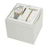 Reloj Skagen de diseño minimalista con caja redonda de 30mm en tono dorado y esfera plateada con acabado sunray. Presenta una malla de acero inoxidable en tono plateado y movimiento de cuarzo.