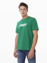 Remera de manga corta Tommy Hilfiger, color verde, con cuello redondo y estampado gráfico en el pecho con el nombre de la marca y el año de fundación en números romanos.