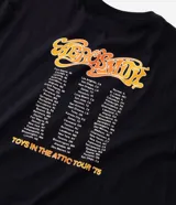 Remera negra de algodón con estampado localizado de la banda Aerosmith en tonos naranja y amarillo. Presenta cuello redondo y manga corta.