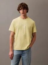 Remera color verde claro con cuello redondo y manga corta. Presenta un pequeño escudo bordado en el centro del pecho.