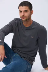 Remera manga larga lisa, color gris claro, con cuello redondo y logo bordado en el pecho.