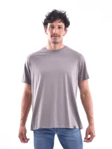 Remera de corte regular, color gris, con cuello redondo y mangas cortas.