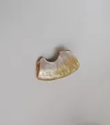Broche para el pelo de nácar con forma irregular.