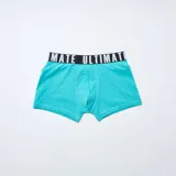 Pack de tres calzoncillos tipo bóxer con cintura elástica negra con inscripción en contraste. Incluye un bóxer azul marino con estampado de rodajas de kiwi, un bóxer liso en color turquesa y un bóxer verde verdoso con estampado de bananas.
