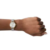 Reloj Skagen modelo Anita Lille con caja redonda dorada de 30mm y esfera plateada con indicadores de hora con cristales. Correa de malla metálica plateada.