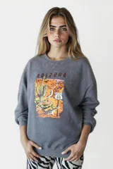 Buzo gris con cuello redondo y mangas largas. Estampado frontal con la palabra "Arizona" y un diseño del desierto con cactus, señal de la Ruta 66 y un correcaminos.