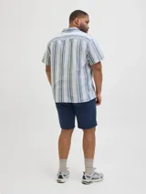 Camisa de manga corta con cuello resort y ajuste relajado. Presenta un diseño de rayas verticales en tonos azules y blancos, con cierre frontal de botones. Confeccionada en una mezcla de algodón y lino, ofrece una textura ligera y fresca.