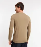Suéter básico masculino color tostado, de cuello redondo y manga larga, con diseño liso confeccionado en mezcla de viscosa y poliamida.