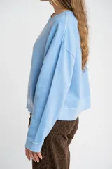 Buzo lila oversize confeccionado en 100% algodón, con cuello redondo, mangas largas y puños y dobladillo acanalados. Presenta un pequeño detalle bordado en el bajo.