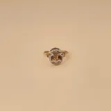 Anillo de plata 925 con detalles en oro 18k, con diseño alusivo a la carrera de Contador Público.