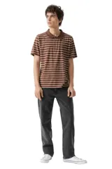Remera tipo polo de manga corta con diseño de rayas horizontales en tonos marrones y blancos. Cuenta con cuello clásico y cierre frontal de dos botones.